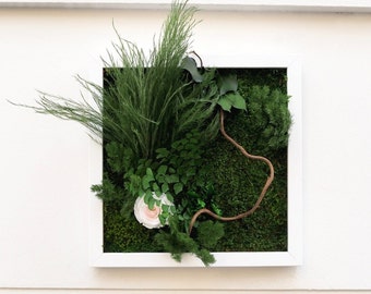 ANGELIQUE Preserved Plant Picture 30x30cm – Eternal Rose & Preserved Plants, Wall Decoration, Ideal Gift, Made in France