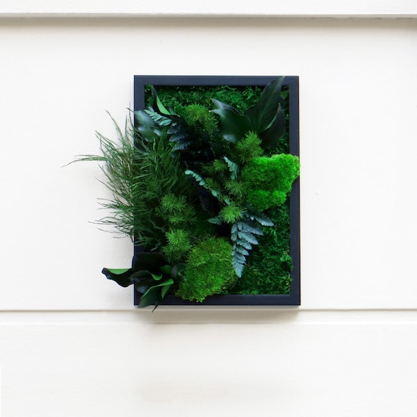 Tableau végétal stabilisé EVERGREEN format 20x26cm décoration intérieur green home decor
