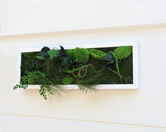 Mount Tacoma 20x60cm Stabilized Plant Picture · Preserved Natural Plants · Wooden Frame · Zero Maintenance · French Craftsmanship