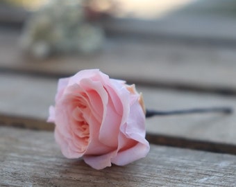 Pic a cheveux roses tiges préservées ICECREAM ROSE prêt a utiliser en décoration florale ou dans vos cheveux pour une coiffure mariage