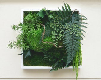 GREEN FALL 30x30cm Preserved Plant Picture – Wall Decoration with Preserved Plants · Plant Art · Plant Frame · Made in France