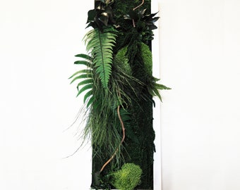 ANGEL'S WHISH 20x60cm Preserved Plant Picture – Preserved Plants · Elegant Panoramic Frame · Wall Decoration · Made in France