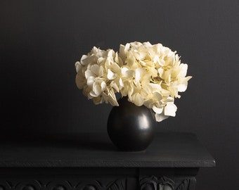 Natural preserved flower hydrangea ivory stabilized high quality interior decoration floral gifts wedding decoration