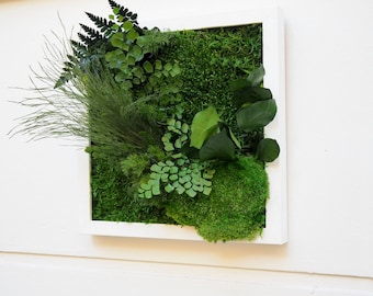Tableau Végétal Stabilisé INNUENDO 30x30cm – Cadre Carré en Plantes Stabilisées, Décoration Murale Made in France