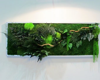 Tableau vegetal stabilisé GREEN WAVE panoramique 30x100cm. idéal pour habiller les murs d'un salon