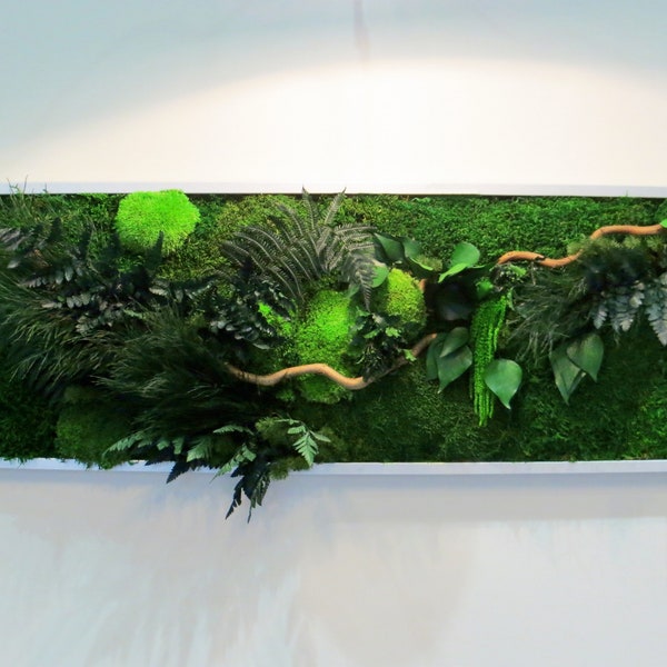 Panoramic GREEN WAVE stabilized plant painting 30x100cm. ideal for dressing the walls of a living room