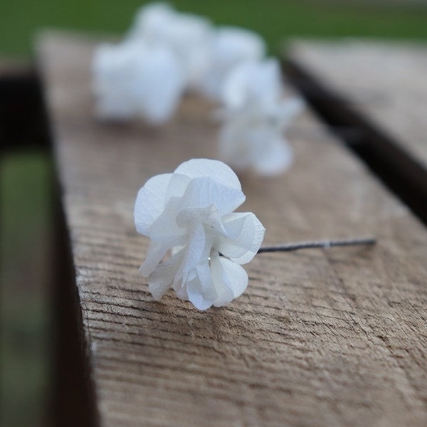 Pic a cheveux hortensia tige préservée ICECREAM HORTENSE dans vos cheveux pour une coiffure mariage ou boutonnière pour homme