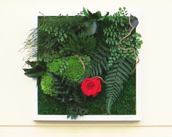 Tableau végétal stabilisé SHIRLEY format carré 30x30cm décoration végétale d'intérieur green art plantes préservées cadeau rose éternelles