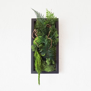 Stabilized plant painting BLACK PARROT 20x40cm plant art interior decoration in natural plants preserved without any maintenance
