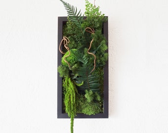 Black Parrot Preserved Plant Picture 20x40cm — Black Frame · Preserved Plants · Zero Maintenance · Handmade in France