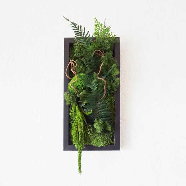 Tableau végétal stabilisé BLACK PARROT  cadre 20x40cm art végétal décoration d’intérieur plantes naturelles préservées sans aucun entretien