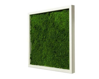 BLUSHING LADY Preserved Plant Art - 100% Natural Moss, Soft Wall Decoration, Multiple Sizes