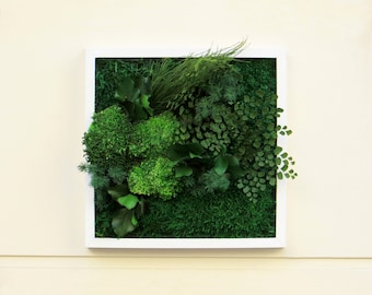 CAP TOWN 30x30cm Preserved Plant Picture – Modern Plant Frame · Preserved Plants · Wall Decoration · Made in France