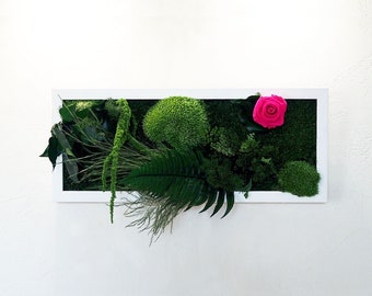 BALLERINA Preserved Plant Artwork 20x60cm – Eternal Rose & Plants, Panoramic Floral Frame Made in France