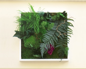 LIPSTICK 30x30 cm Stabilized Plant Picture – Square plant decoration, glamorous and bold for a unique home decor with preserved plants