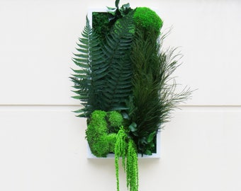 HONKY TONG 30x60cm Preserved Plant Picture – Asian Inspired · Preserved Plants · Plant Frame · French Craftsmanship