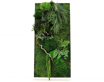 30x70cm Stabilized Plant Picture TEXAS – BEST-SELLER · Mosses & Twisted Hazel · Wooden Frame · Handcrafted in France