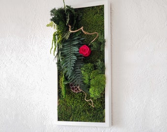 MAGIC ROSE Stabilized Plant Picture 30x60cm – Elegant preserved plant decoration for the home with an eternal rose, Made in France