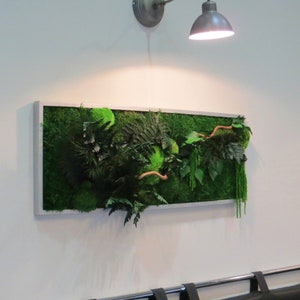 Tableau vegetal stabilisé GREEN WAVE panoramique 30x100cm. idéal pour habiller les murs d'un salon image 2