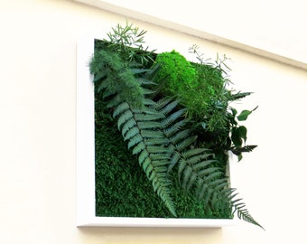 WEST POINT 30x30cm Preserved Plant Picture – White Wooden Frame · Preserved Mosses & Foliage · Wall Decoration · Made in France