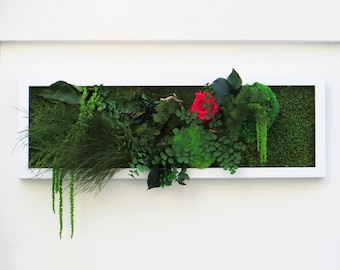 Sensual Touch Preserved Plant Picture 20x60cm – Eternal Red Rose & Plants, Romantic Decoration Made in France