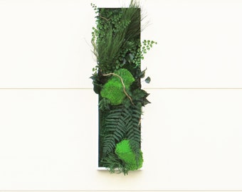 FOXTROT 30x70cm Stabilized Plant Picture — Panoramic Format, Natural Mosses & Plants, Wall Decoration