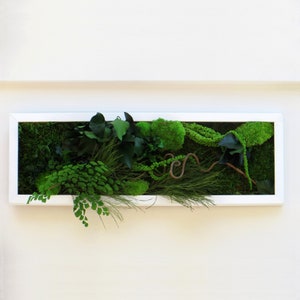 Tableau végétal stabilisé MOUNT TACOMA format panoramique 20x60cm home decor image 4