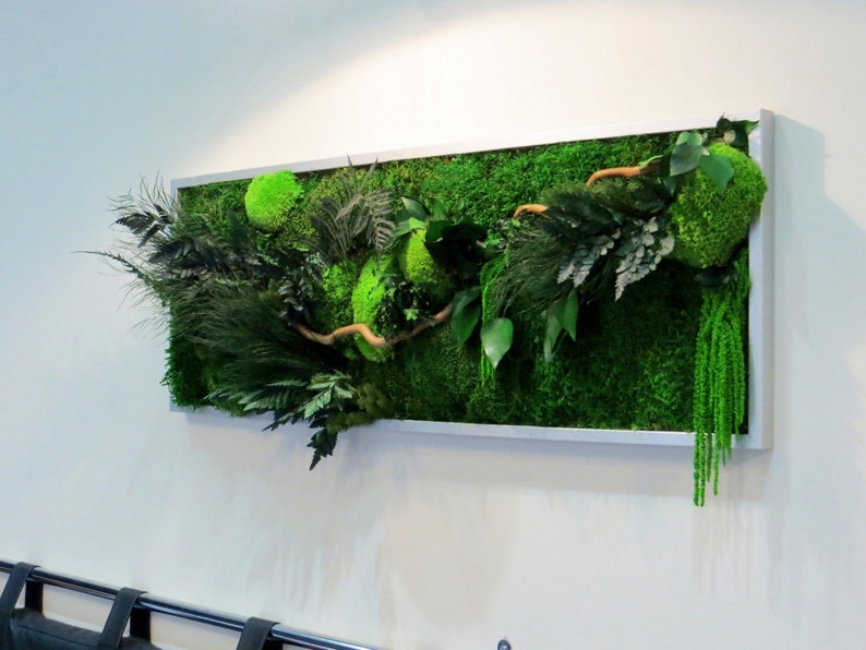 Tableau vegetal stabilisé GREEN WAVE panoramique 30x100cm. idéal pour habiller les murs d'un salon image 3