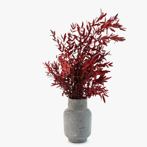 Bouquet of preserved red Parvifolia interior decoration floral composition natural plants preserved handmade