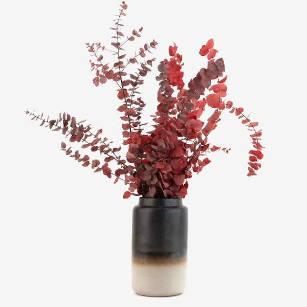 Bouquet of preserved red eucalyptus interior decoration floral arrangement maintenance-free plants