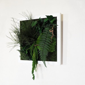 RENOWN Cuadro Vegetal Estabilizado 30x30 cm – Marco Cuadrado de Plantas Preservadas para Decoración de Interiores, Arte Vegetal Fabricado en Francia.