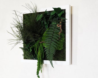 RENOWN Stabilized Plant Picture 30x30 cm – Square Frame of Preserved Plants for Interior Decoration, Plant Art Made in France.