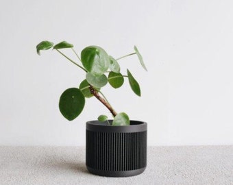 jardinière d'intérieur bois noir BLACK JAPAN pot pour plante intérieur succulente ou plantes stabilisées