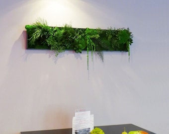 Panoramic Stabilized Plant Picture FLAMING PARROT 20x100cm Plant Design for Interior Decoration Ideal for Living Room, Bedroom or Entrance.
