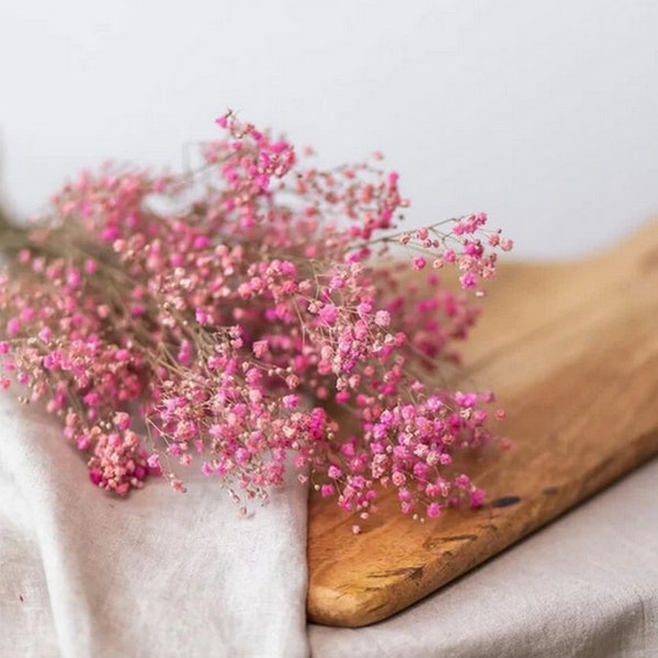 Bouquet of preserved gypsophila grenadine interior decoration floral arrangement maintenance-free plants