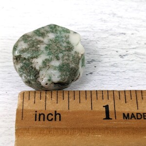 May include: A small, round, green and white agate stone measuring approximately 1 inch in diameter. The stone has a mottled appearance with green and white patterns.