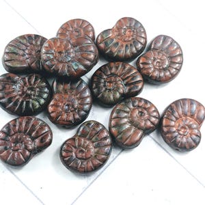 May include: A collection of brown, spiral-shaped ammonite fossil beads. The beads have a detailed, textured surface with hints of green and blue. The fossils are arranged on a white surface.
