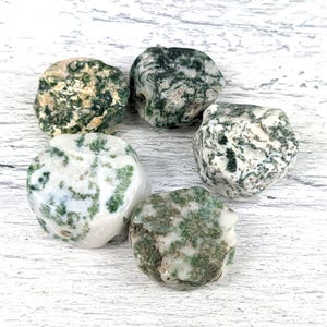 May include: Five tumbled moss agate stones, each with a unique pattern of green and white. The stones are smooth and polished, with a natural, earthy look.