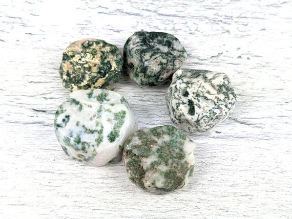 Dark Green Tree Agate Gemstone Textured Coin Beads, Approx. 20mm, 5pcs.