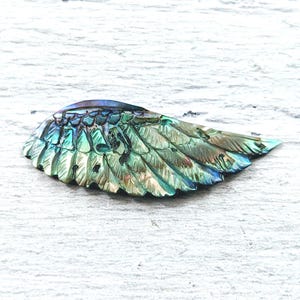 May include: A carved iridescent wing, showcasing a spectrum of colors including teal, green, and blue. The wing's surface has a textured, feathered appearance. The object is set against a white, textured background.