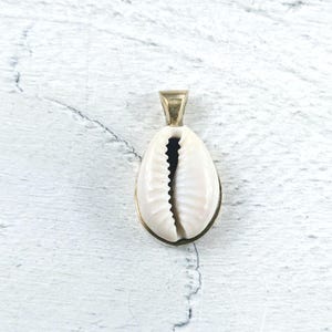 Brass Plated Cowrie Shell Charm, Genuine Shell, 30x17mm