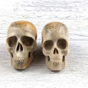 2 pièces SANS TROU Crânes en bois de cerf sculptés à la main, 2 pièces Ethnique, env. 25 à 32 mm