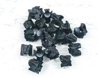 Black Genuine Snake Vertebrae Beads, Natural Beads, Snake Beads, 10pcs. 8-13mm