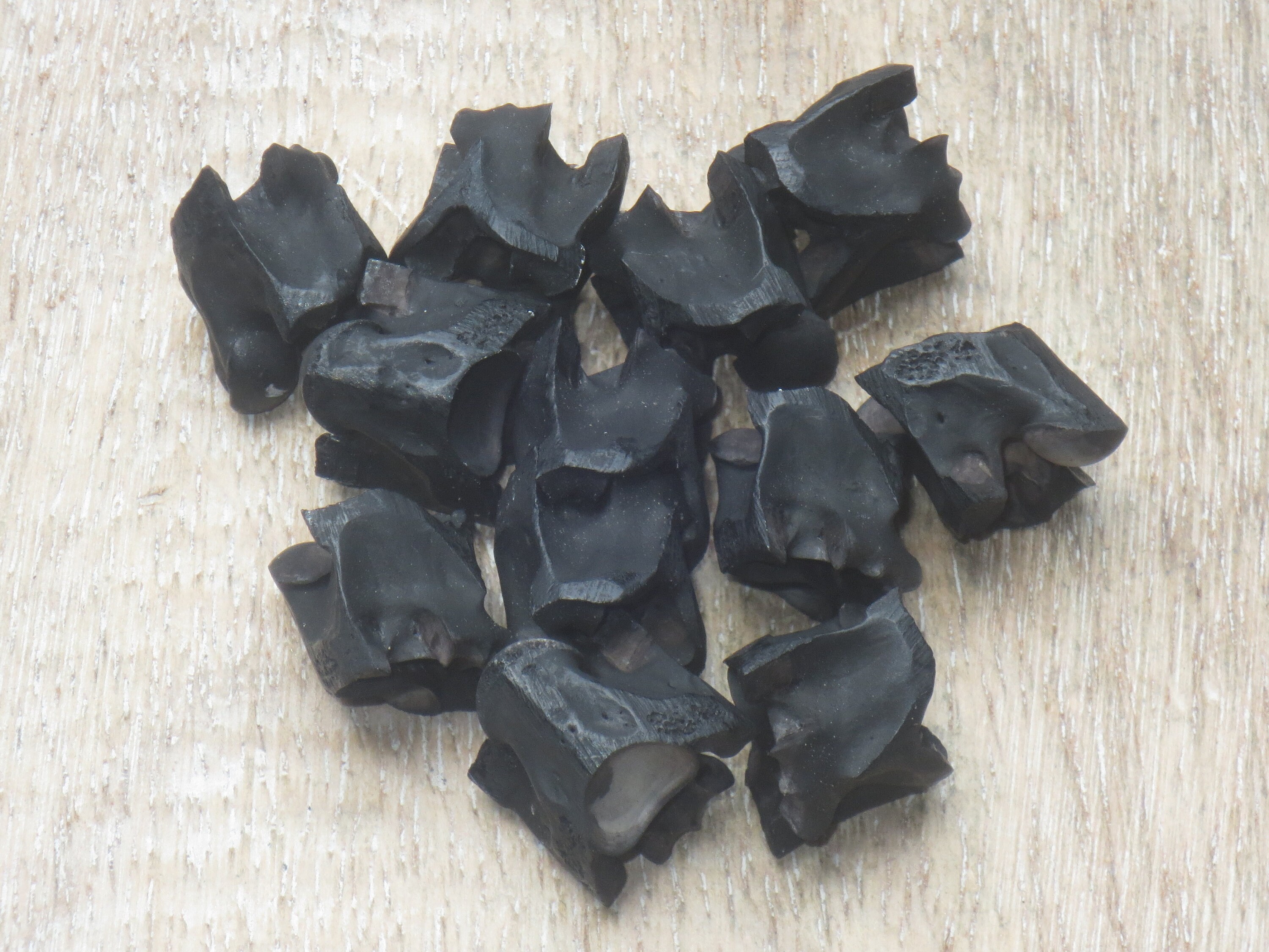Black Genuine Snake Vertebrae Beads, Natural Beads, Snake Beads, 10pc…