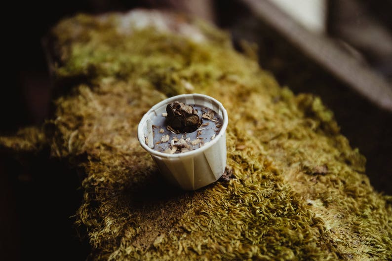 Fire Starter Natural Firestarter Eco Friendly Non Toxic Etsy Canada