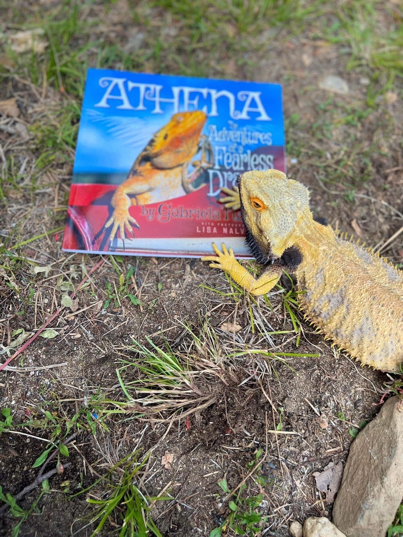 Athena The Adventures Of A Fearless Dragon book series books image 1