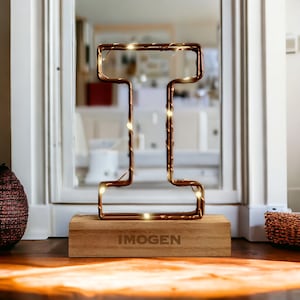 Personalised Light Up Letter Light I | Custom Name Copper Light Up Letter I | LED Alphabet Room Light Idea | Gift For The Home Decor