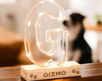 Personalized Pet Initial Light | Paw Print Keepsake, Custom Name Plaque