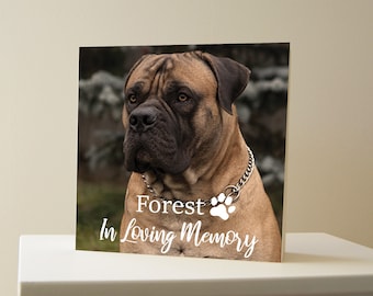 Caixa de memória para animais de estimação Caixa de madeira Retrato de animais de estimação Personalizado Memorial para animais de estimação Presente para lembrança de cães Caixa de lembrança para animais de estimação Memória de um cão Perda de cachorro