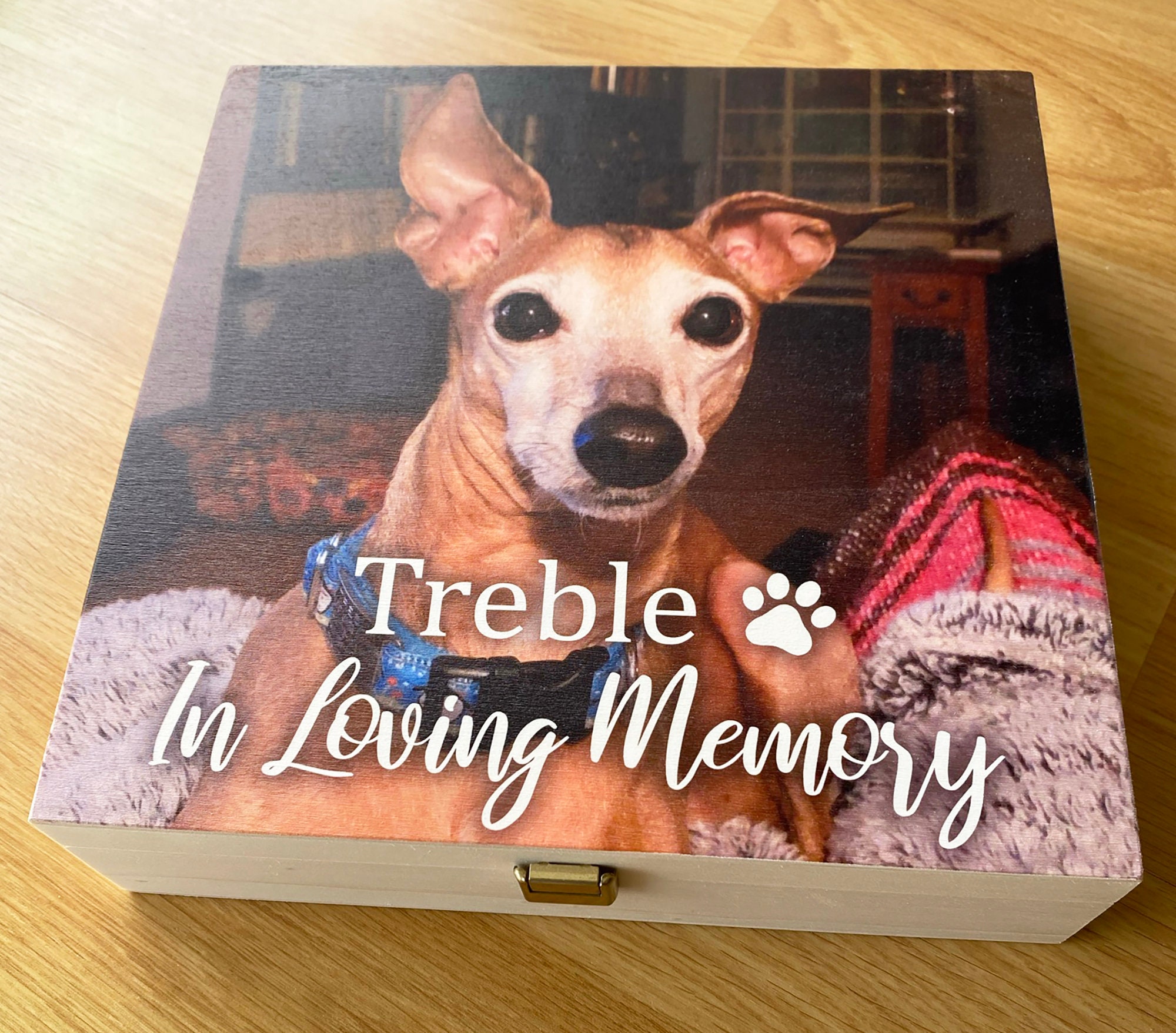 Dog Memory Box Keepsake Box Pet Memorial Gift Dog Memorial Etsy